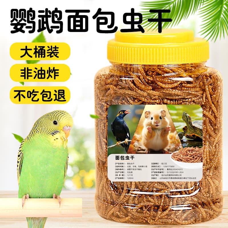 Parrot and Myna High-Protein Mealworms Dried Yellow Mealworms for Cockatiels, Pearl Lovebirds, Bird Feed