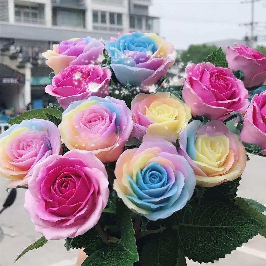 Red Rose Seeds, Green Plant Potted Flowers, Flower Seeds, Potted Ground Planting, Four-Season Seeds, Rose Seeds 200 Seeds