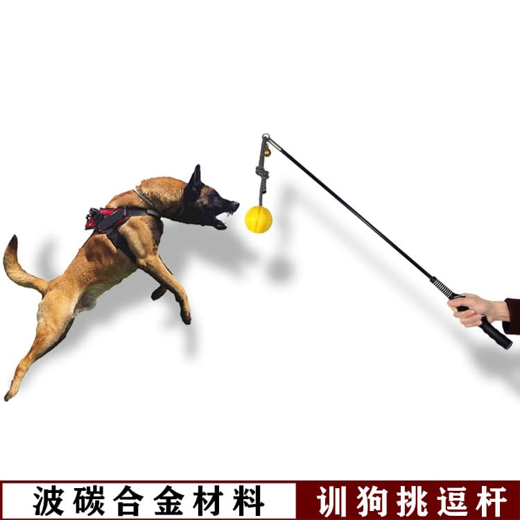 Pet Outdoor Dog Training Teaser Pole, Dog Training Tool for Malinois, Working Dog Training Equipment