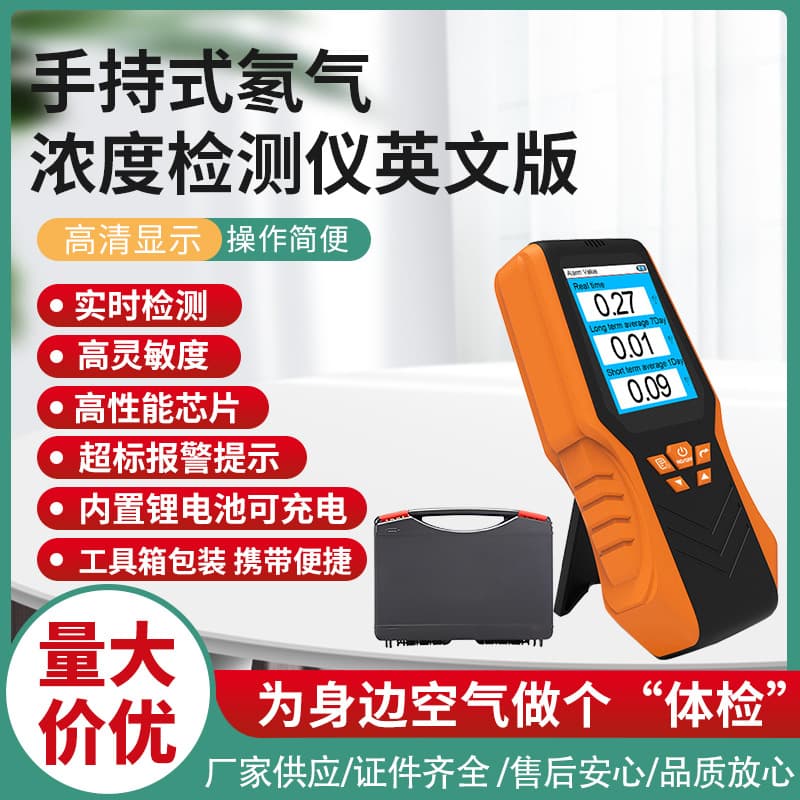 Handheld Radon Gas Concentration Detector Real-time Radon Value Short-term Long-term Average English Version