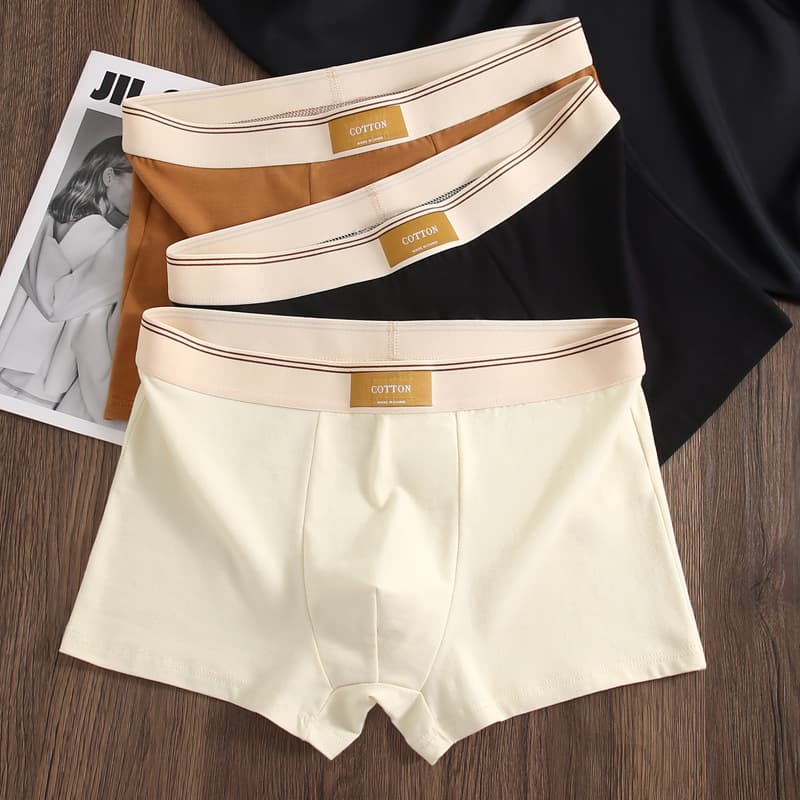 Boxed Men's Underwear Men's Pure Cotton Antibacterial Boxer Briefs Teenagers Cotton Boxer Briefs Boys Shorts Summer