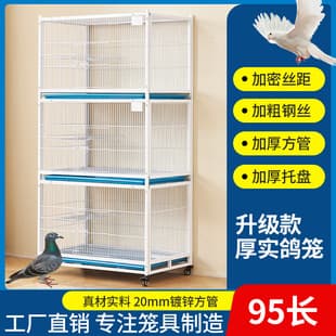 Pigeon Mating Cage Breeding Reinforced Pigeon Cage for Budgerigar Bird Cage Pigeon Loft Mating Cage Pigeon Cage