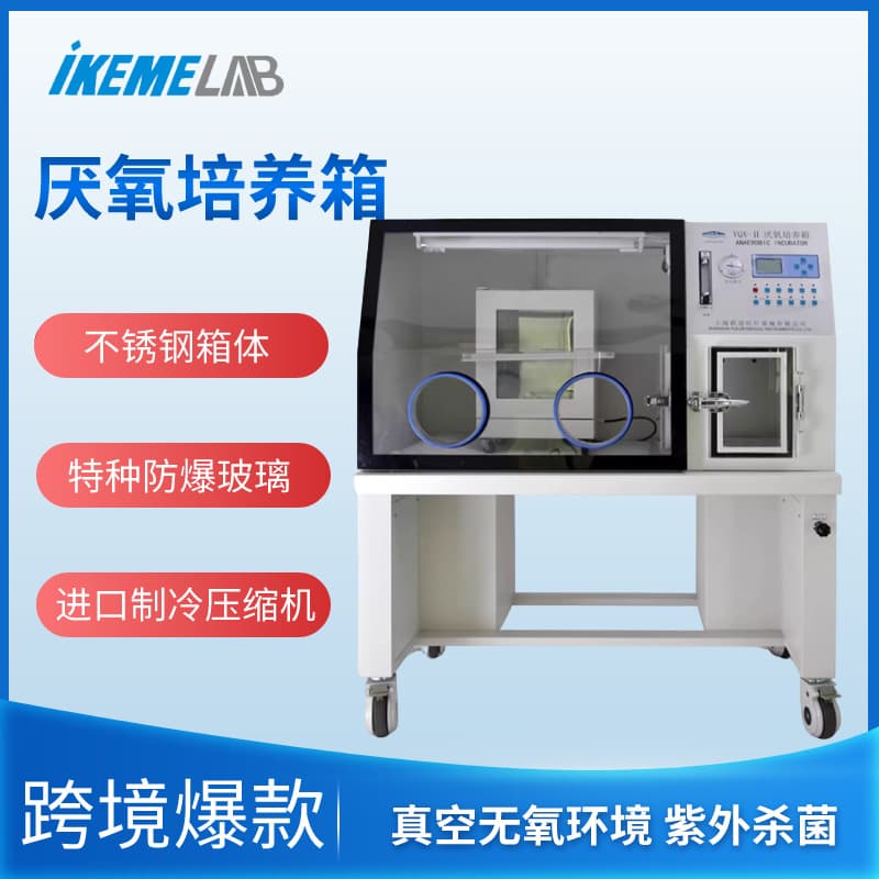 Anaerobic incubator for food, anaerobic bacterial incubator, laboratory anaerobic glove box YQX-II