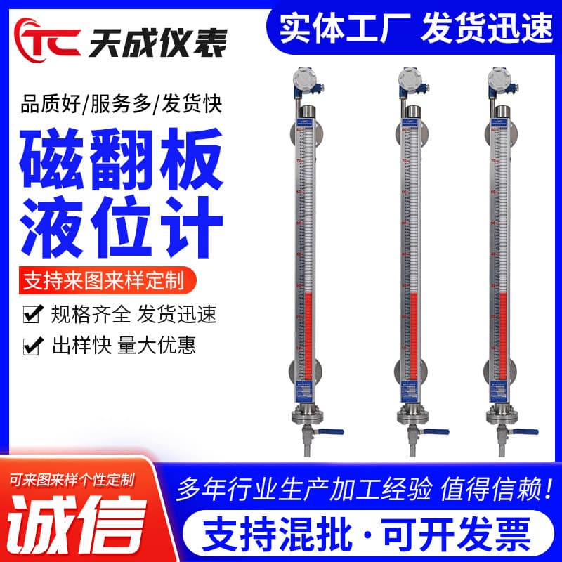 Manufacturer Supplying Remote Magnetic Level Gauges with Custom Processing and Alarm Functions