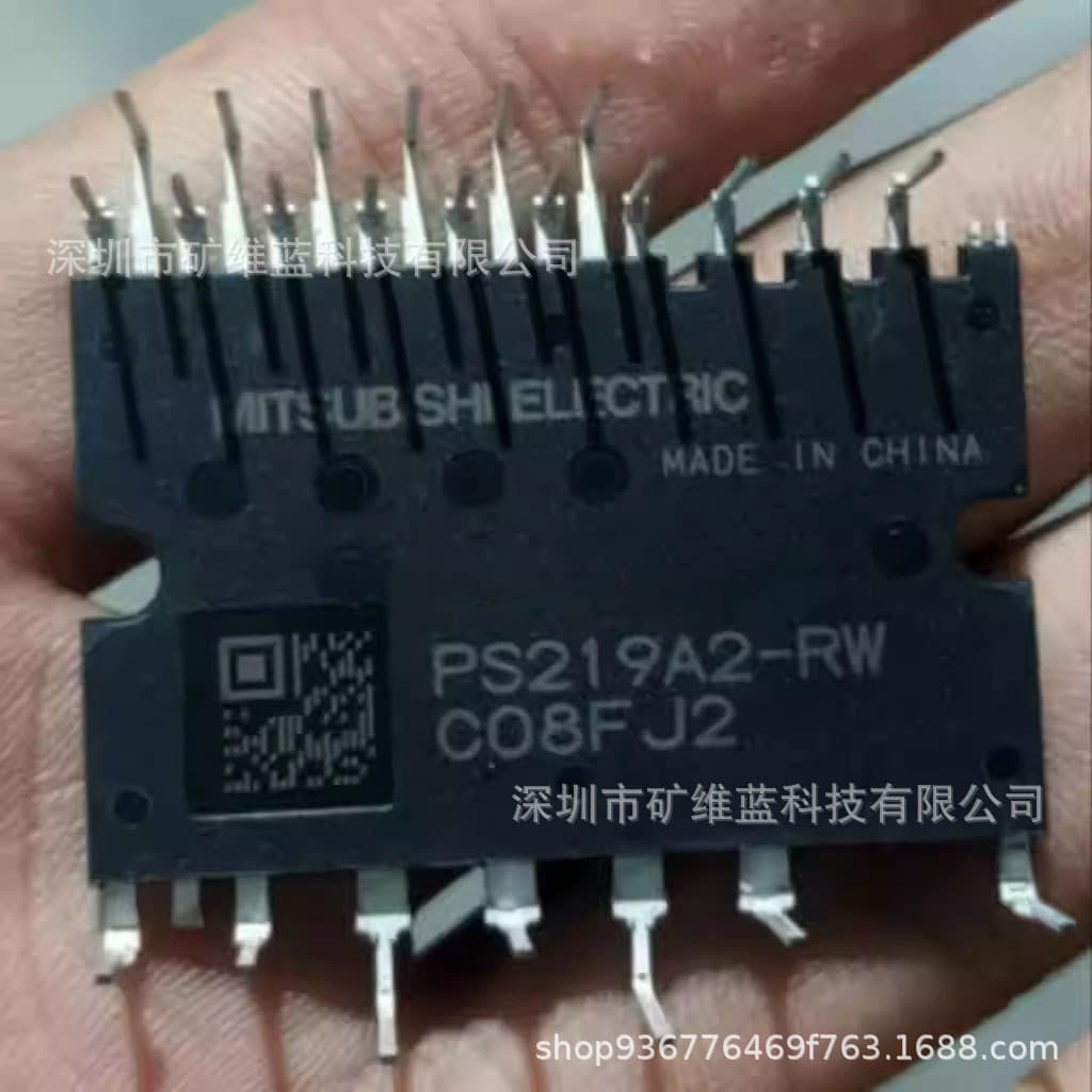 IC Module PS219A2-RW