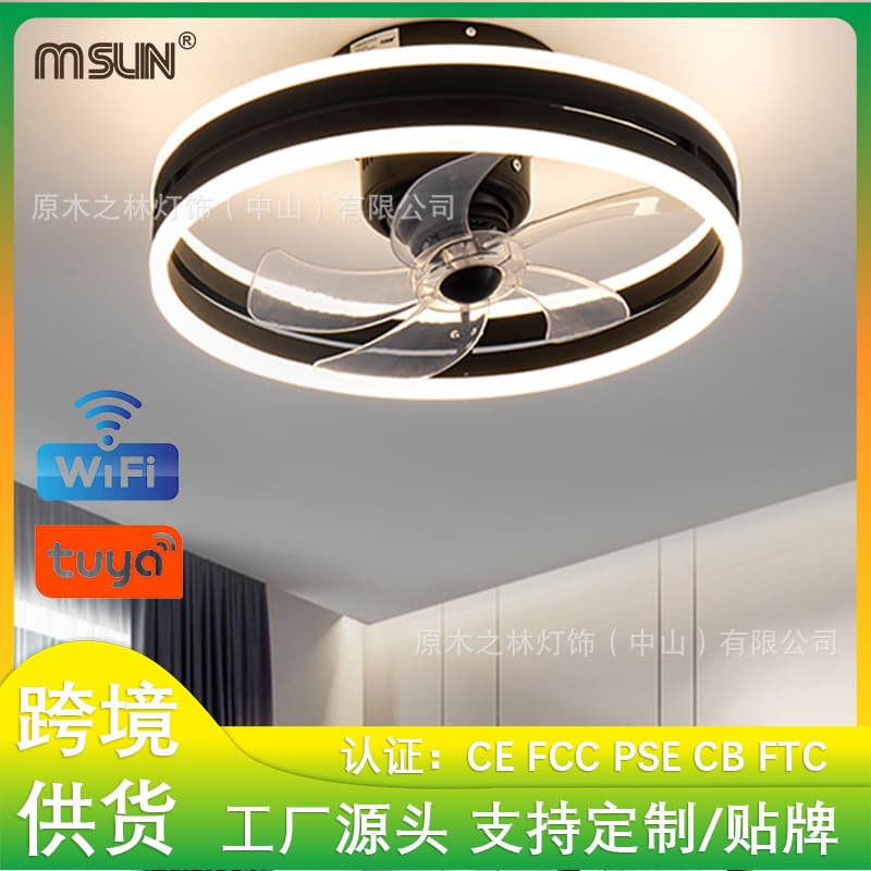 Cross-border Oscillating LED Bedroom Bluetooth Music Fan Light Graffiti WiFi Alexa Voice Control Home Fan Light
