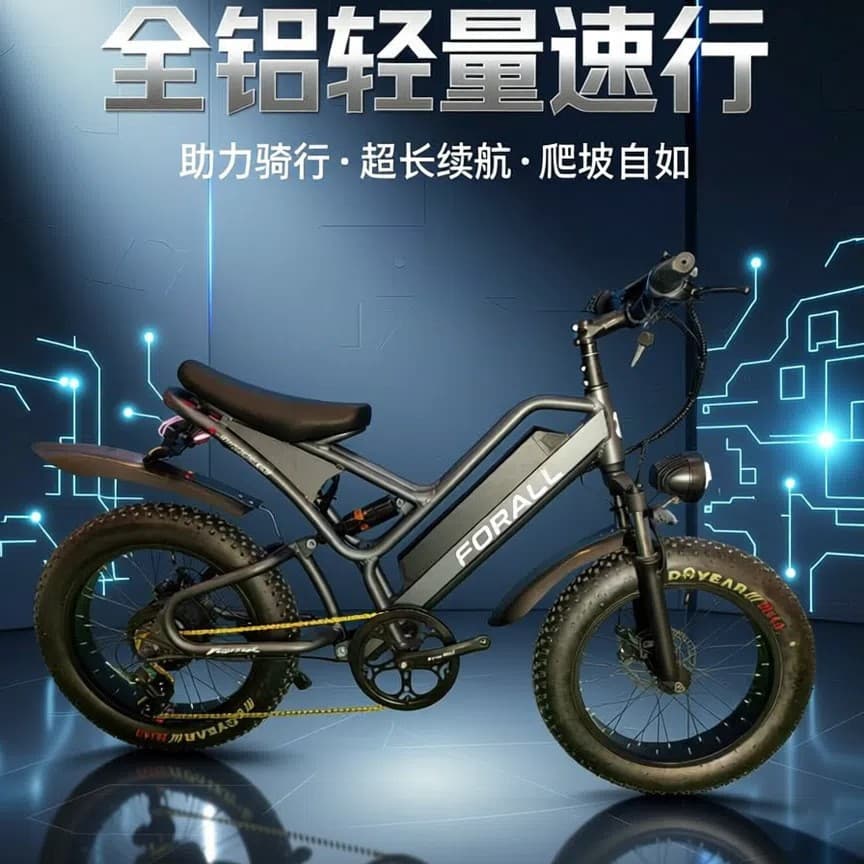 Hot-selling 20-inch electric bicycle with long range, electric assist bike, electric motorcycle, drop shipping from overseas warehouse