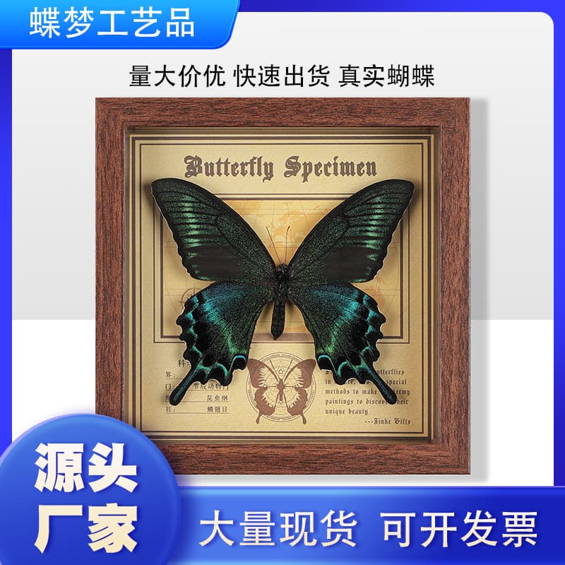 Real Butterfly Specimen Photo Frame Decorative Painting 3D Ornament Handmade DIY Birthday Gift Insect Specimen