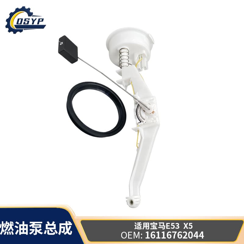 Cross-border stock 16116762044 FG251A FT4009 Fuel Pump Assembly for BMW E53 X5