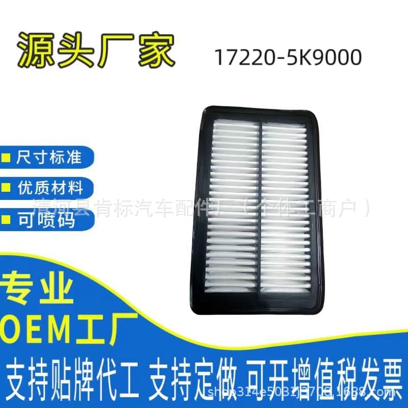 Lvjie Filter, compatible with Honda export model 17220-5K9-000