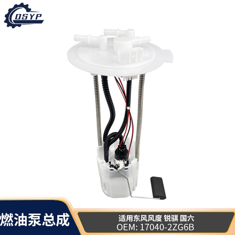 Cross-Border Hot-Selling Brand New Fuel Pump Assembly 17040-2Zg6B Suitable for Dongfeng Fengdu Ruiqi 6 National Vi Diesel