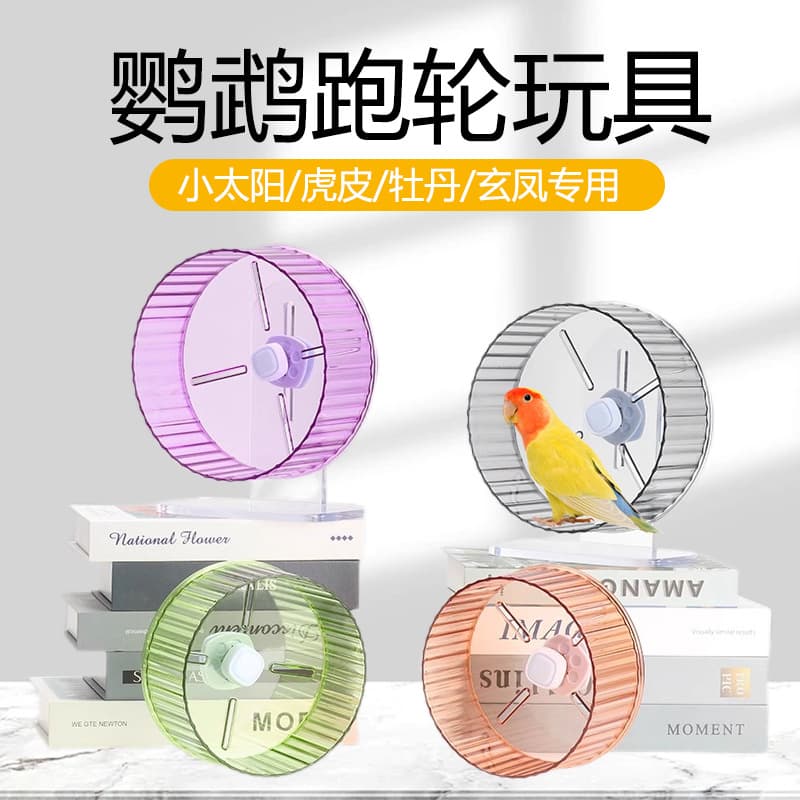 Budgie Running Wheel Toy for Entertainment and Stress Relief, Parrotlet and Sun Conure Exercise Wheel, Complete Collection