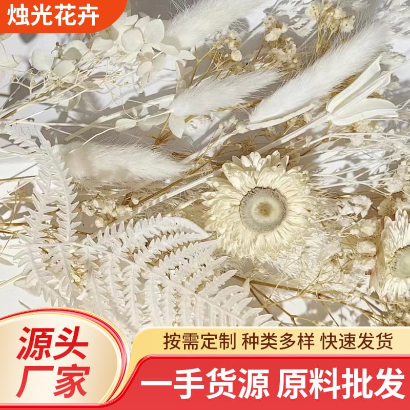 Preserved Flower Penglai Pine Material Kit Handmade DIY Floating Frame Pressed Flower Aromatherapy Candle Preserved Flower Aromatherapy Flower Arrangement
