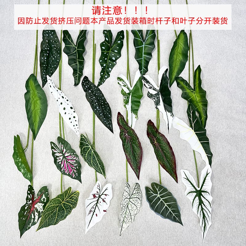 New Arrival Simulation Alocasia Leaf Begonia Leaf Caladium Leaf Mall Window Photography Background Living Room Decoration Green Plant