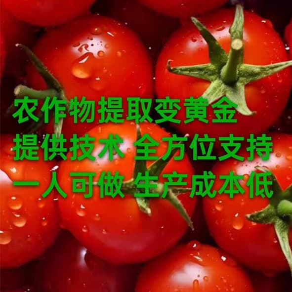 Deep processing of plant protein peptides, manageable by one person, low cost