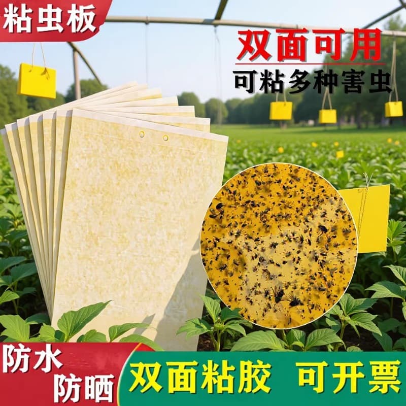 Double-sided Yellow Blue Sticky Insect Board For Vegetable Greenhouse Orchard Codling Moth Trap