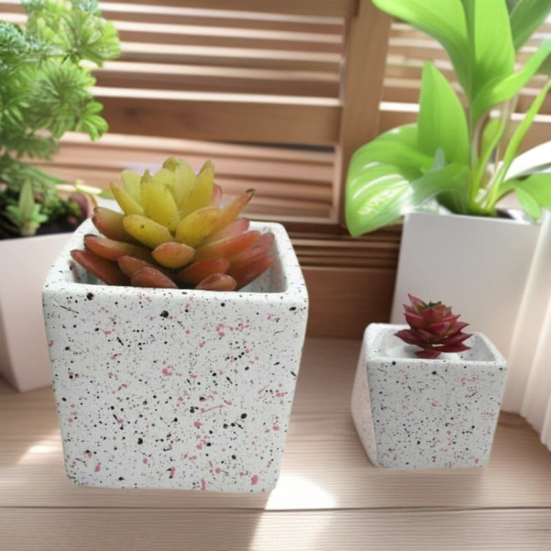 Cement Succulent Pot, Nordic Style, Colored Round Breathable Clay Ceramic Succulent Planter