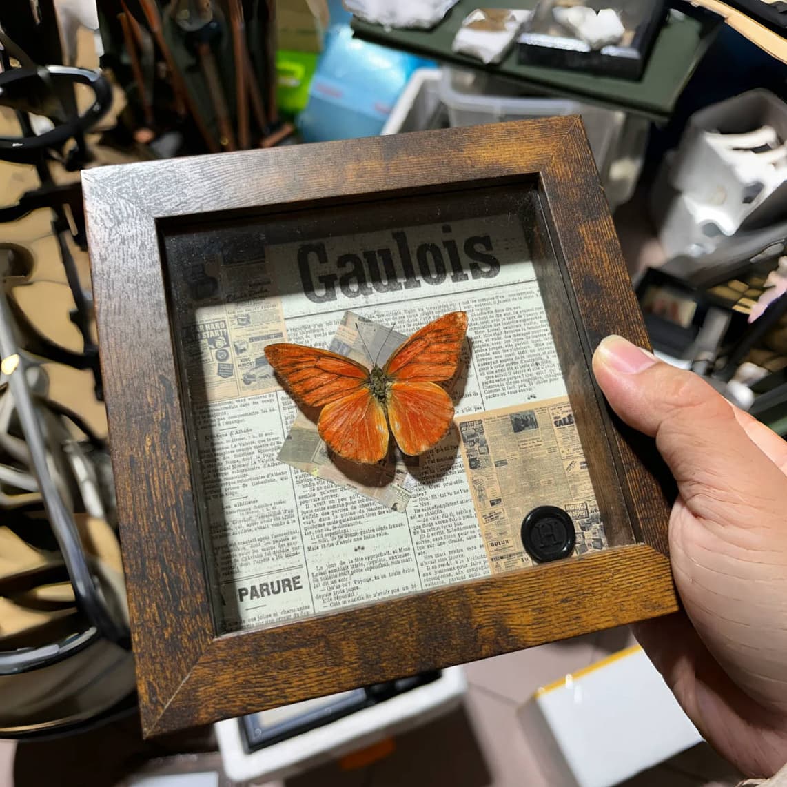 Vintage Hollow 3D Picture Frame 2cm Deep High-Transparency Glass Butterfly Specimen Display Box DIY Craft Empty Frame