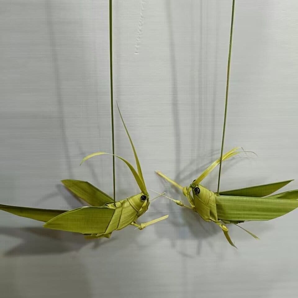 Youjian Straw/Palm Weave Grasshopper, Parent-Child Handcraft Project, Educational Children's Toy, Specialty Tourism