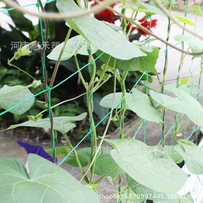 In-stock direct shipping, dropshipping available. Plant climbing netting, passion fruit, rose, green beans, loofah, gourd, bitter melon, and other plants.