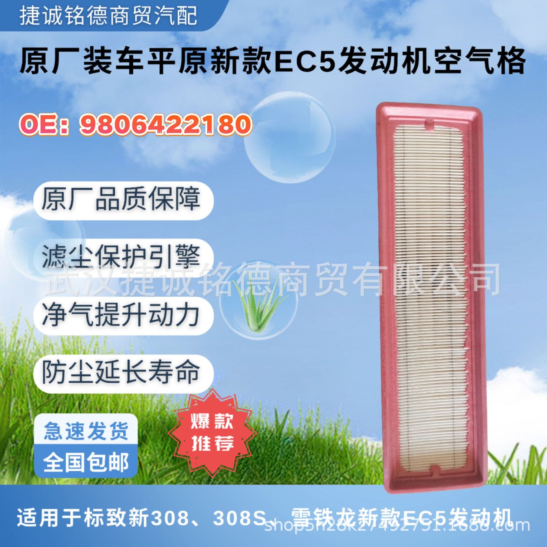 Original factory installed plain air grid new EC5 engine air filter OE9806422180