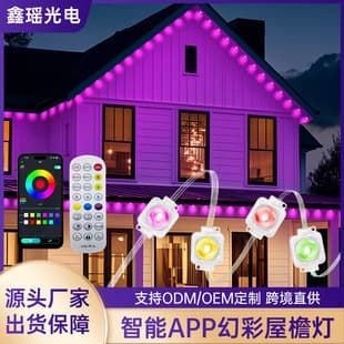 Cross-border Outdoor Eaves Light RGBCW Patio Decoration WiFi Bluetooth String Light Waterproof Indoor Outdoor Holiday Atmosphere