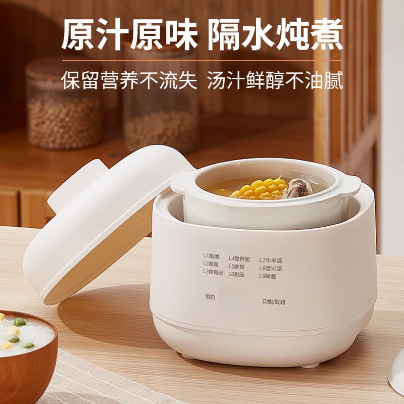 Ceramic Electric Stew Pot with Double Boiler for Home Use, Baby Food Cooker, Mini Automatic Soup Maker