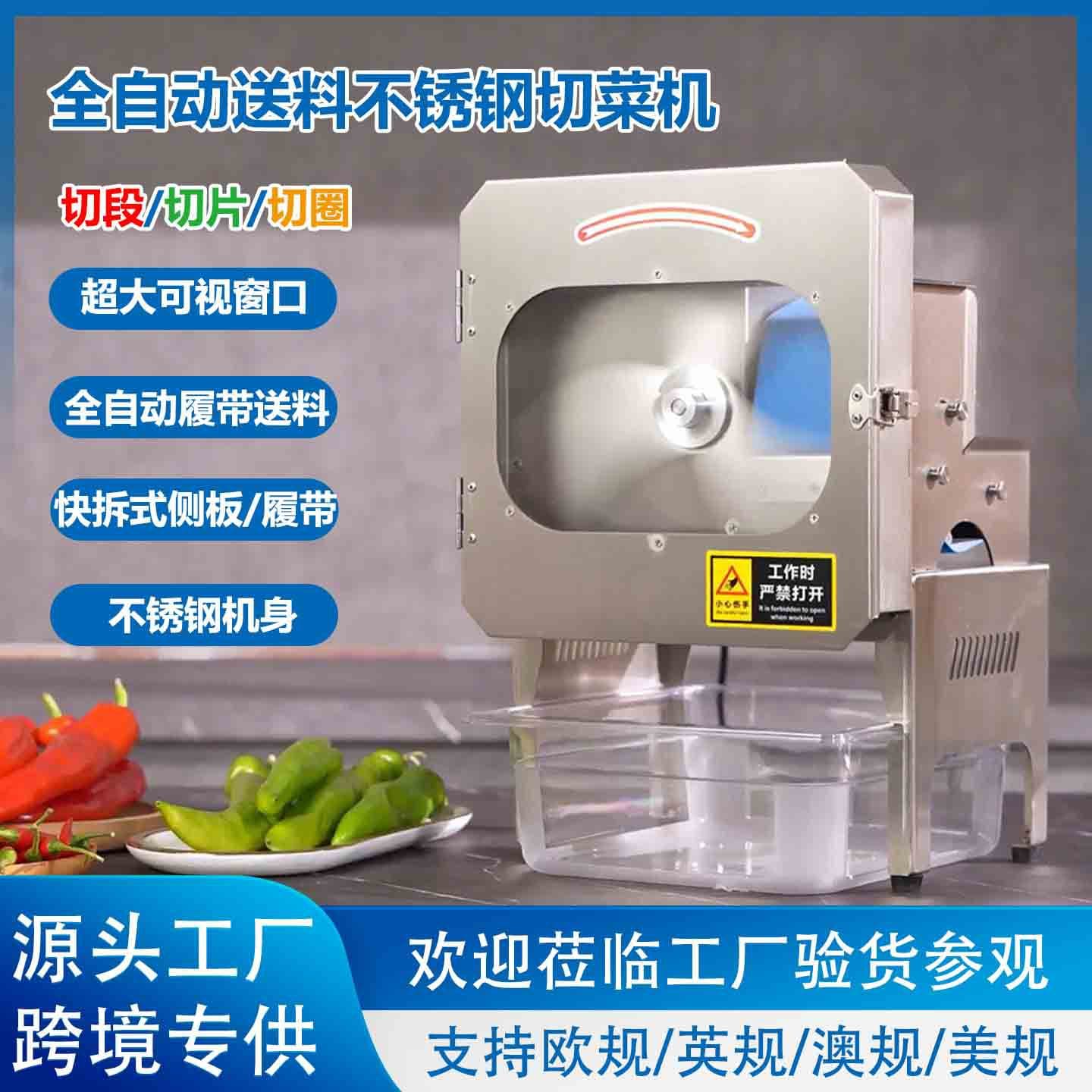 Professional fully automatic feeding stainless steel vegetable cutting machine electric fruit and vegetable pre-processing multi-functional vegetable cutting machine