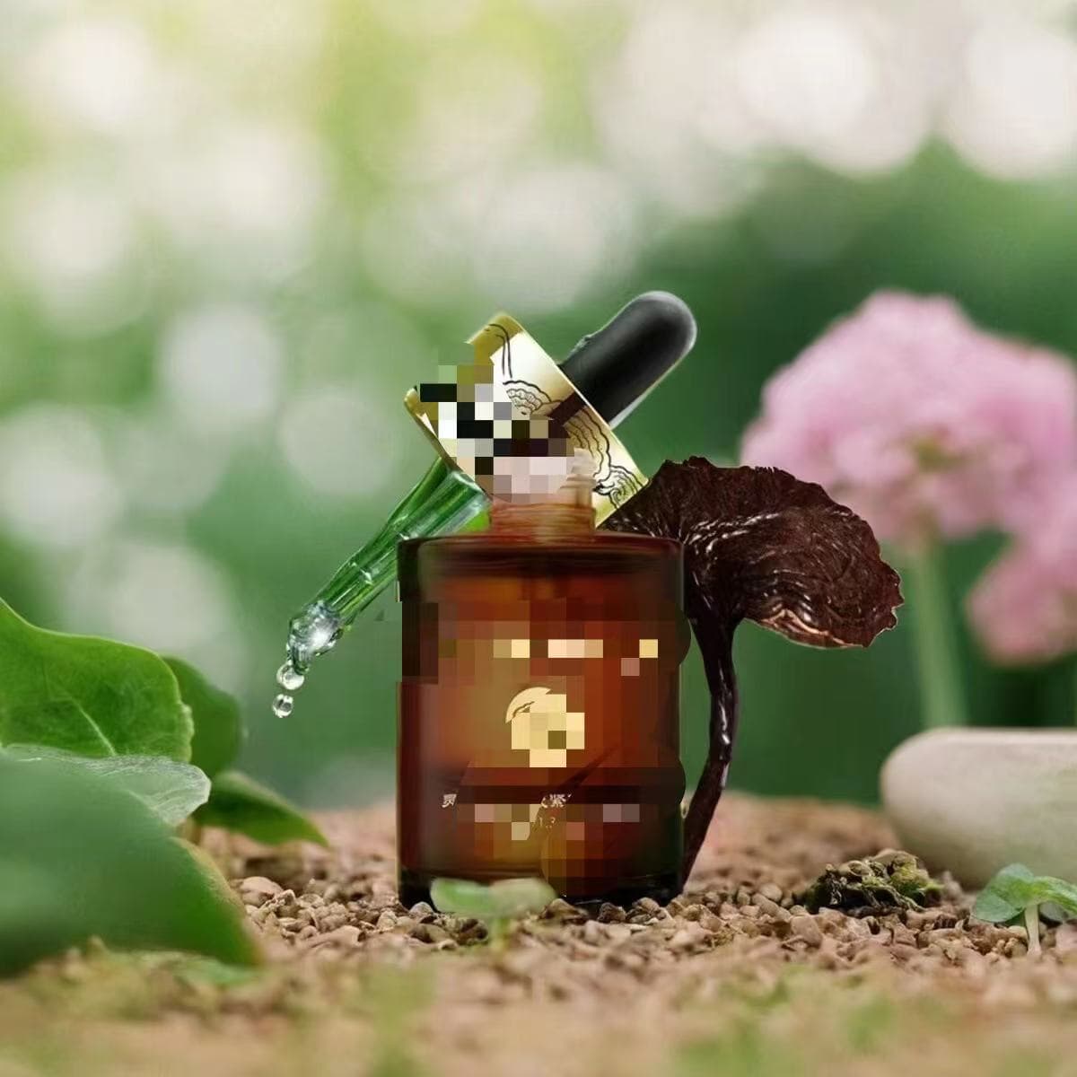 [Focusing on High-End Professional Skincare] Lingzhi Spore Kangshuai Essence Oil 40ml