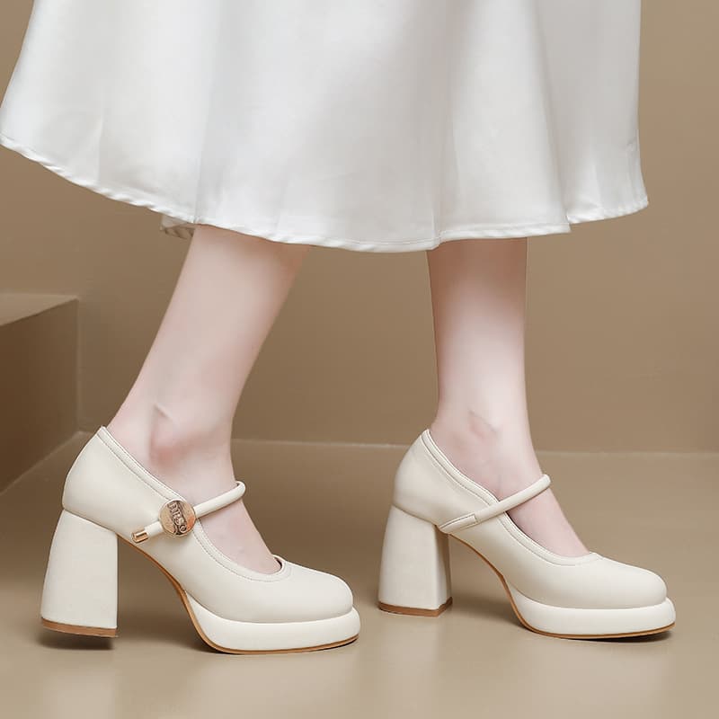 White French style small thick heel high heels for women 2026 new autumn with skirt Mary Jane shallow mouth small leather shoes