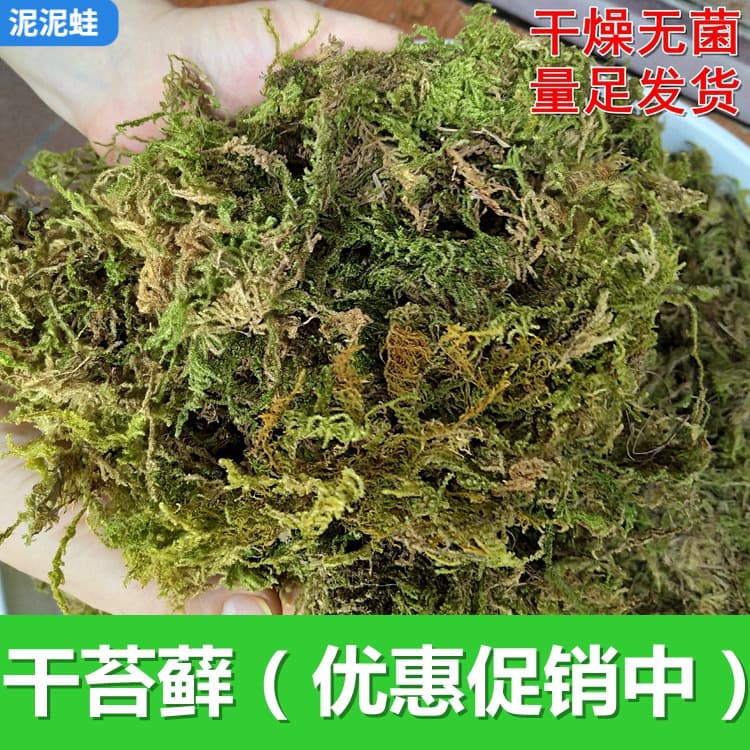 Dried moss, sphagnum moss, turtle hibernation moisturizing coconut soil brick, reptile supplies, orchid and dendrobium nutrient soil.