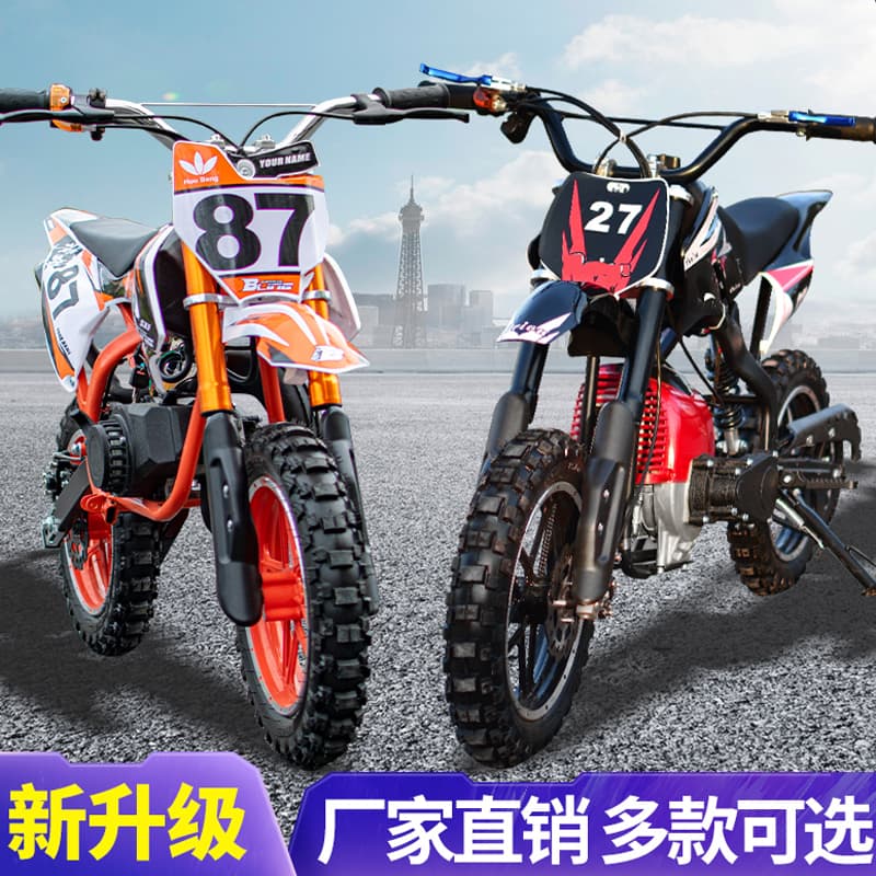 2025 New Mini Motorcycle for Kids 49CC Mini Dirt Bike Gasoline Mixed Fuel Adult