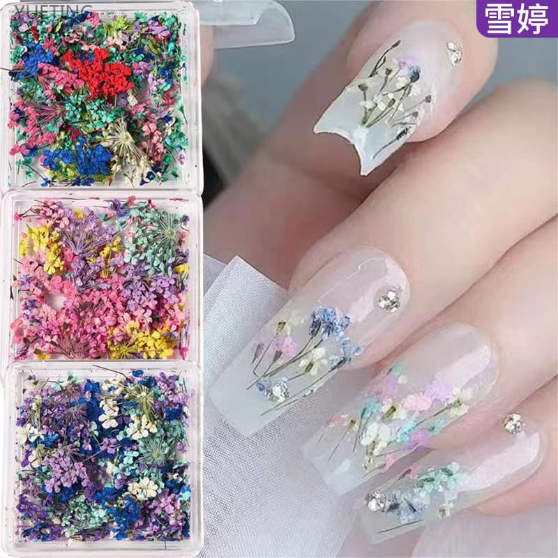 New Cross-Border Nail Art Dried Flowers Japanese Ins Mixed Real Baby's Breath Small Flower Box Decoration Nail Dried Flowers