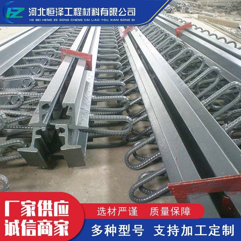 Modular expansion joints for bridges, D-type, F-type, and C-type expansion joints for roads, and multi-directional displacement comb-tooth expansion joints made of special-shaped steel.