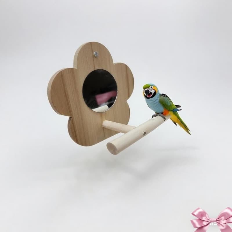 Parrot Moon Swing Budgie Cockatiel Toy Parrot Swing Moon Perch Flower Mirror Bird Cage Accessories
