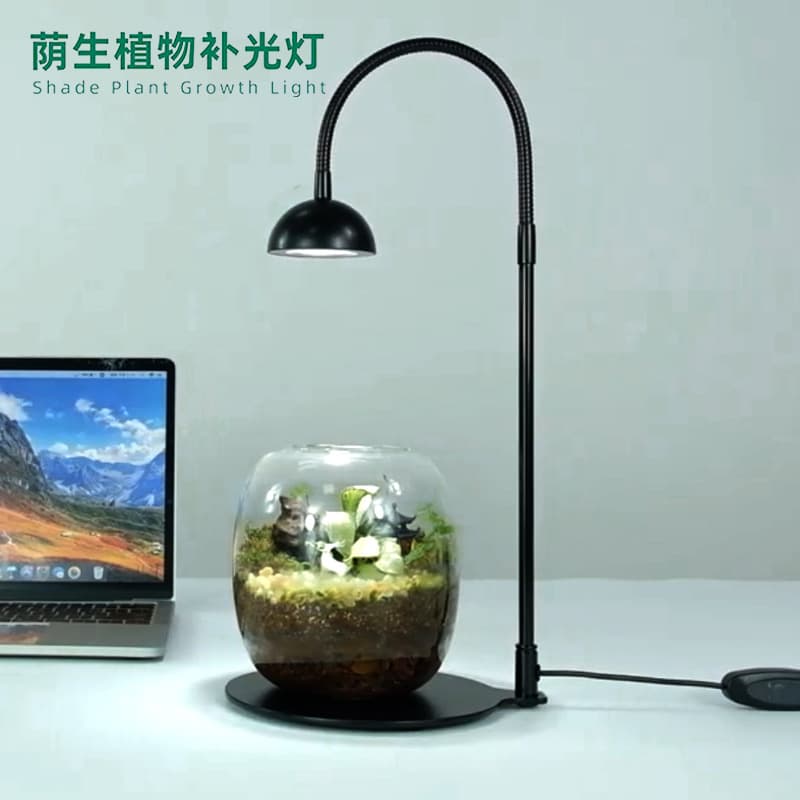 Fannong Timed LED Mini Landscape Light USB Plug Sun-Simulating Ecological Moss Plant Light Shade Plant Growth Light