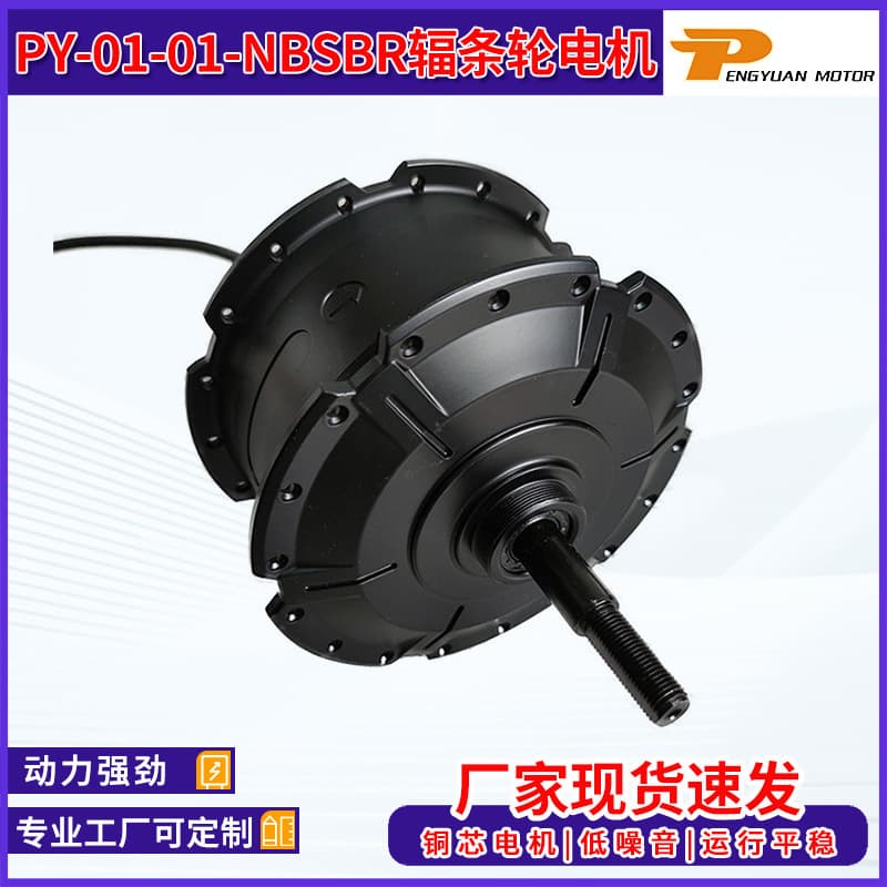 PY-01-01-NBSBR Spoke Wheel Motor Electric Bicycle Mountain Bike Motor