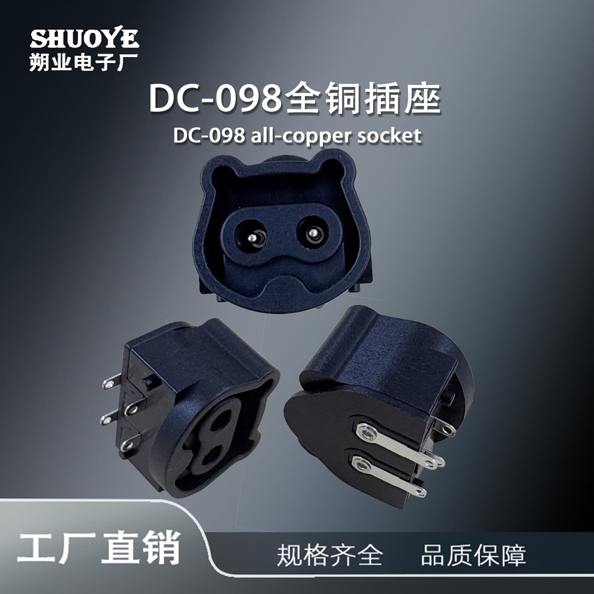 DC-098 AC power socket with card-type female connector, 2-hole female connector, cabinet/desktop socket.