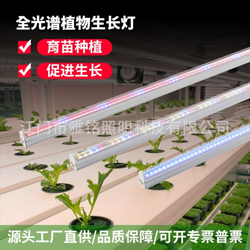 T5 Plant Grow Light, Tissue Culture Light, Seedling Light, Factory Direct, Full Spectrum LED Plant Light with Switch