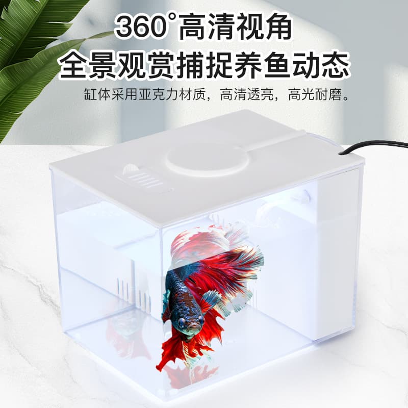 Home Eco Tank Plastic High Appearance Landscape with Light, Filter, and Oxygen Integrated Small Desktop Fish Tank Goldfish Tank