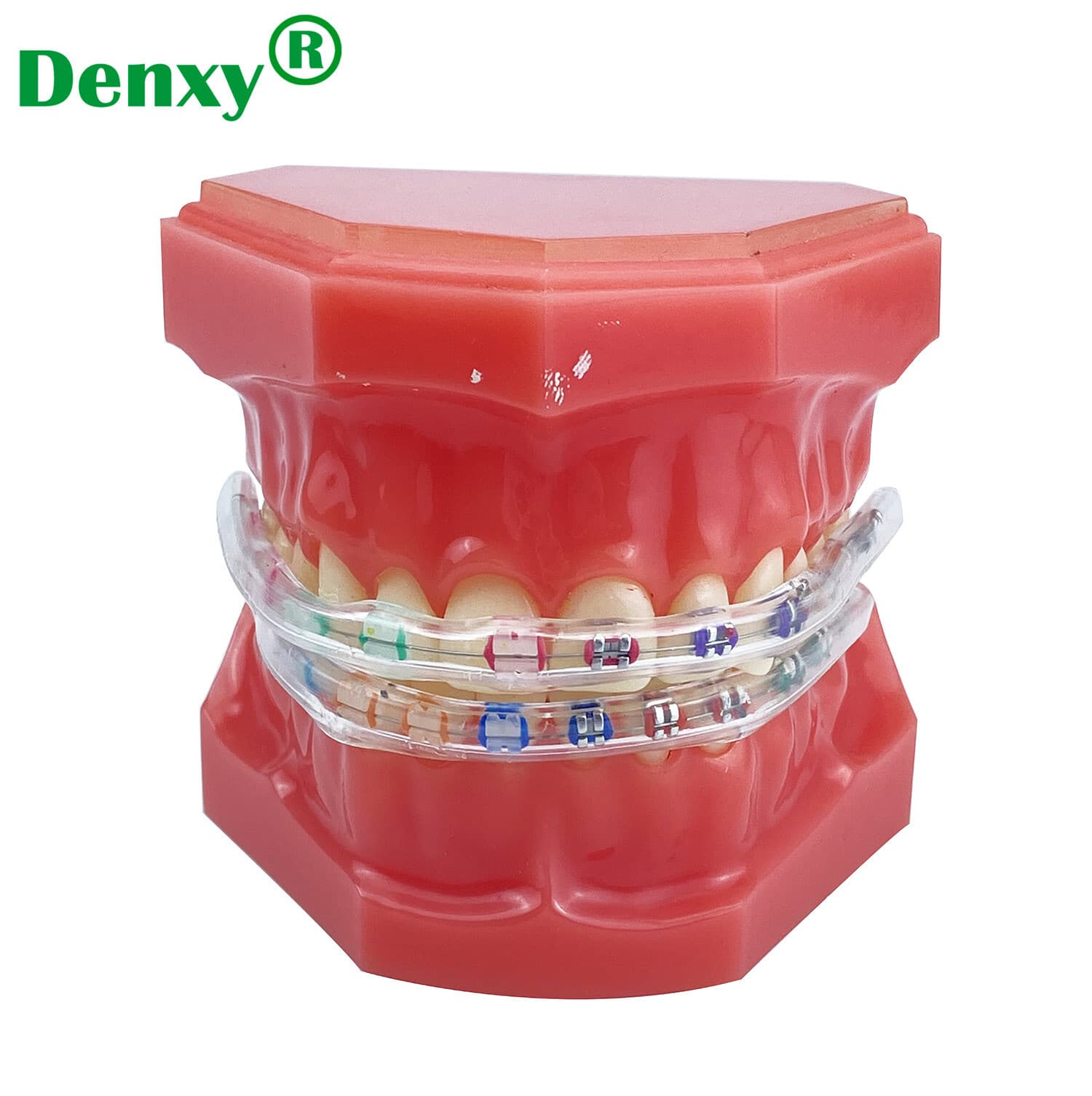 Dental Bracket Protective Cover, Wholesale Orthodontic Material, Orthodontic Bracket Protective Cover