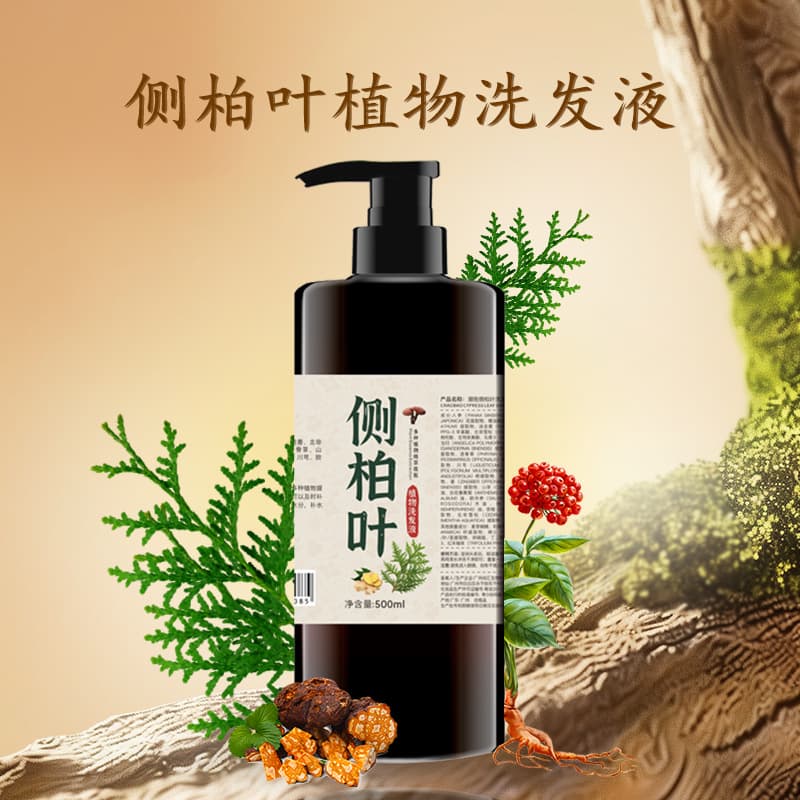 Pure Formula Decoction Side Cypress Leaf Soap Shampoo Plant Nourishing Ginger Oil Control Anti-Dandruff Anti-Itch Tidal Hold Shampoo