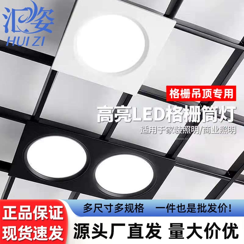 LED Double-Head Downlight Ceiling Grid Light Rectangular Spotlight Recessed Ceiling Light Double-Row Double-Head Light Dual Downlight
