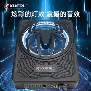 Factory Wholesale Car Audio Modification Spider with Light 10 Inch High Power Active Car Ultra-Thin Subwoofer