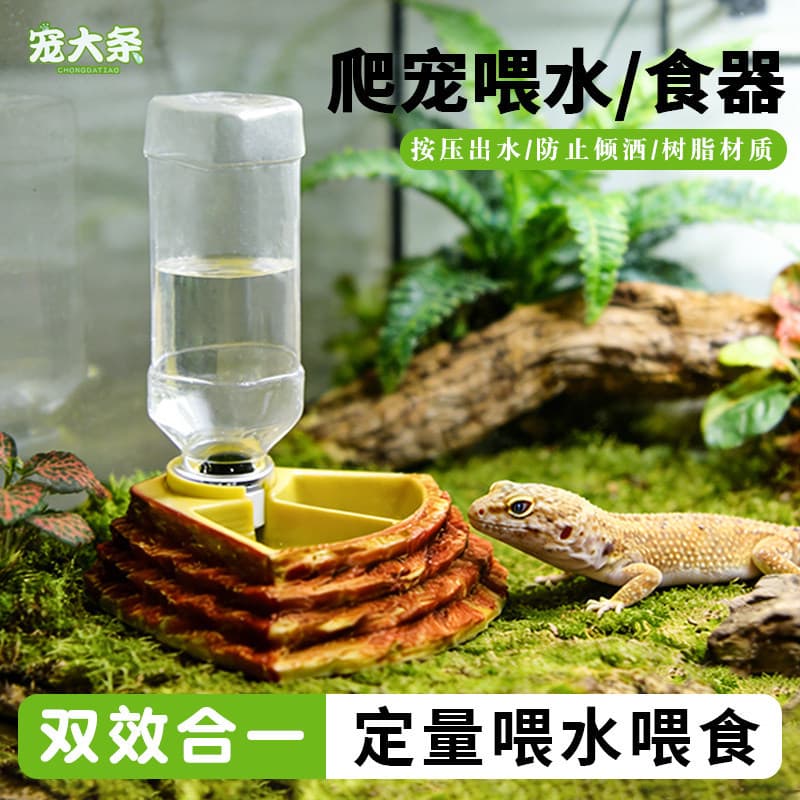 Reptile Water Cup 2-in-1 Feeder Water Bowl for Crested Gecko Giant Day Gecko Lizard Arboreal Water Dish Cross-border Drop Shipping XJ