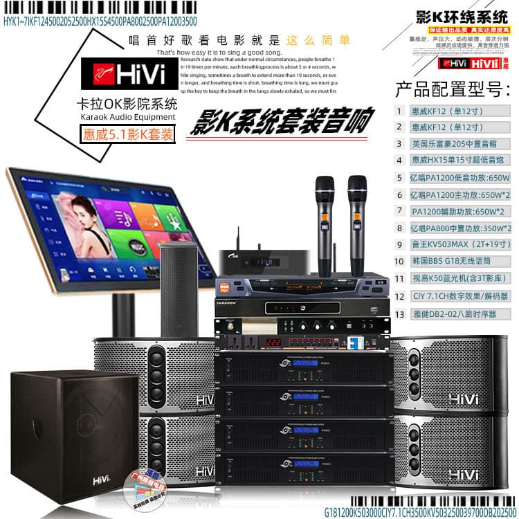 HIVI Home Cinema Karaoke Song Request System 5.1 Surround Sound Set Wireless Microphone HDMI Interface KTV Professional Equipment