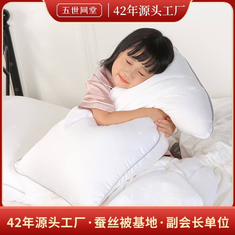 Upgraded Silk Pillow with 150g Tussah Silk, Small Bee Design Drop Shipping, Rectangular Low Silk Pillow Core for Neck Care