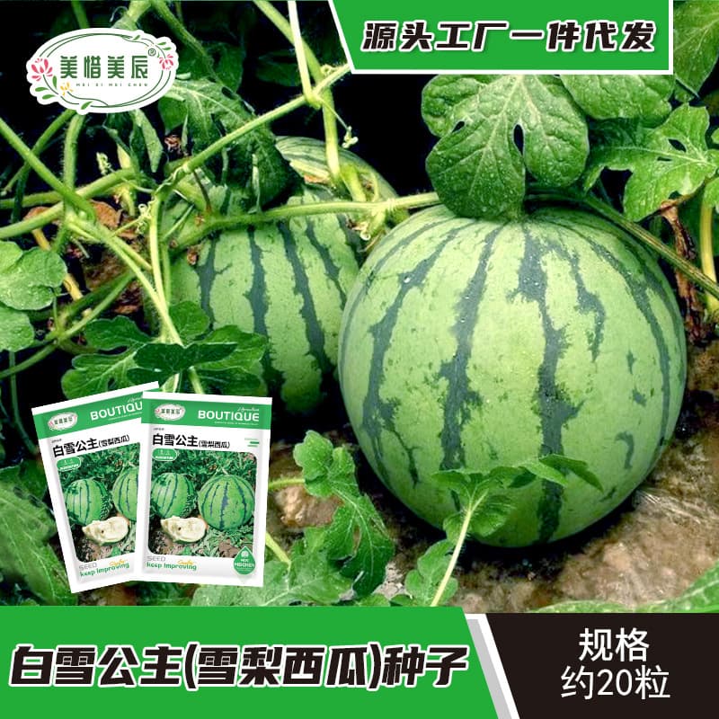 Snow Pear Watermelon Specialty Gift Watermelon Seeds Snow White Princess Watermelon Seeds Striped Skin White Flesh Thin Skin Juicy No Residue