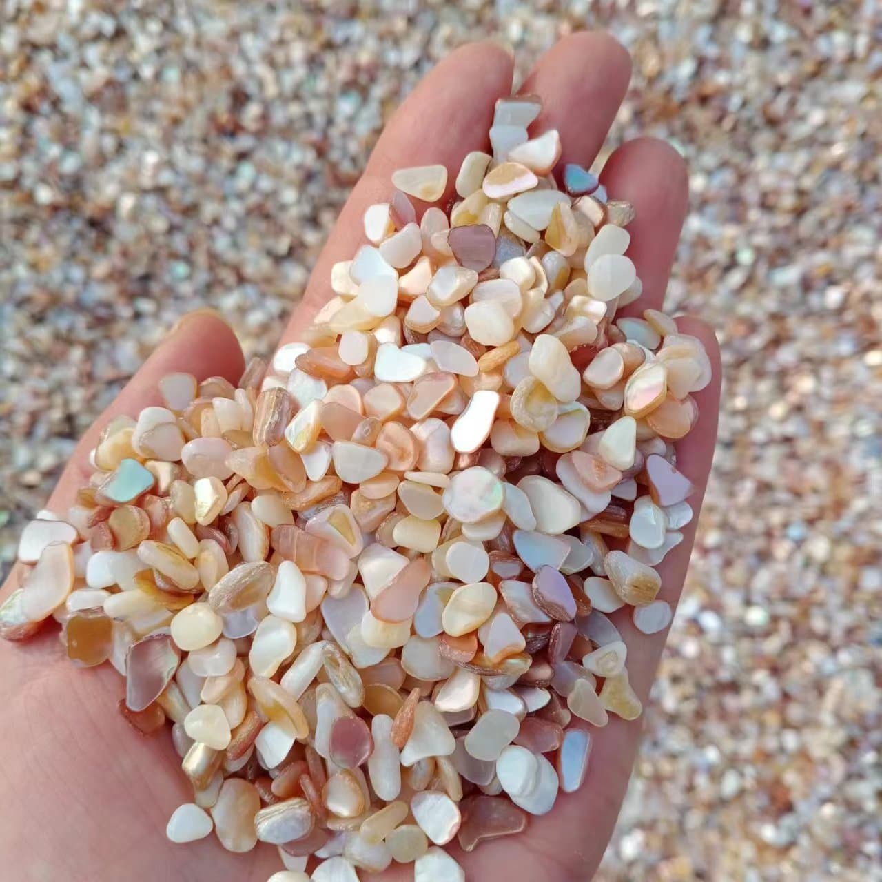 Irregular Shell Crushed Stone Shell Chips Shell Aggregate Decorative Material Floor Aggregate Shell Gravel Shell Chips