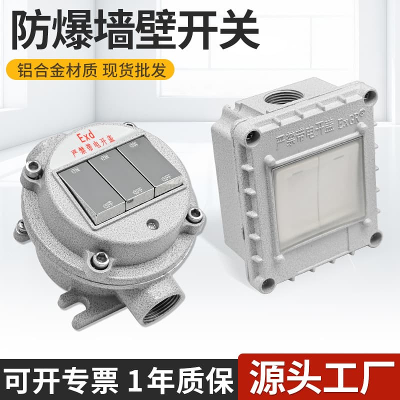 Explosion-Proof Switch 220V Rocker Type Explosion-Proof Wall Switch Single Double Triple Quadruple Explosion-Proof Lighting Switch